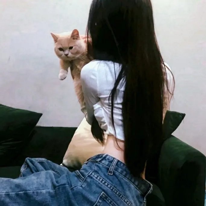 特洛伊奥德赛